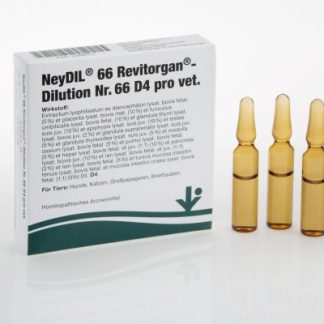 Neydil Nr.66 D4 pro vet. Klinikpackung Ampullen 10x5x2ml