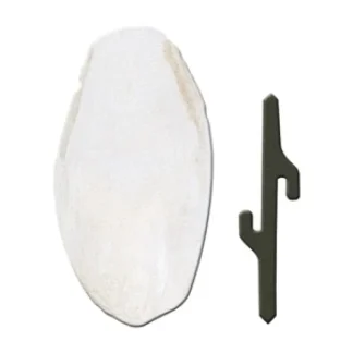 Osso di Seppia - 5 x 1,5 x h 12,5CM