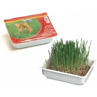 Erba per Gatto - 130GR
