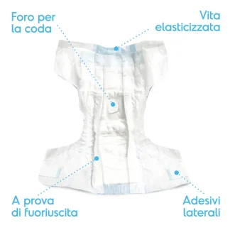 RECORD ASSORBIPIU 12 PANNOLINI M 35-52 C