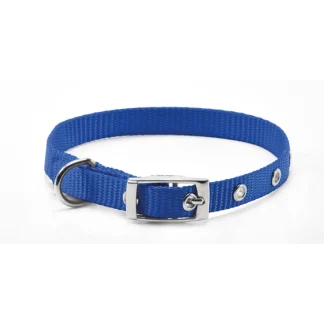 RECORD COLLARE NYLON CON FIBBIA BLU 2X40