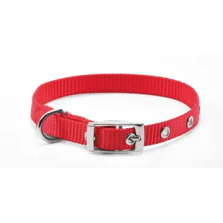 RECORD COLLARE NYLON CON FIBBIA ROSSO 2X
