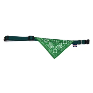 RECORD COLLARE NYLON BANDANA VERDE 1,6X3