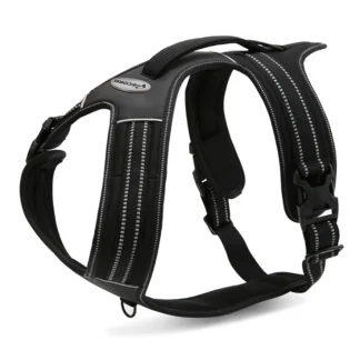 RECORD ACTION PETTORINA NERO M 60 72 CM