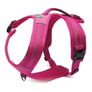 RECORD ACTION ALPI PETTORINA FUCSIA L 70