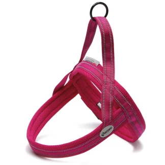 RECORD ACTION PETTORINA FUCSIA S 54 64 C