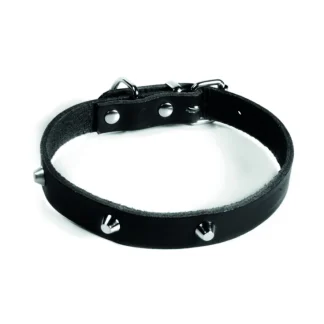 RECORD COLLARE CON BORCHIE NERO 2,5X50 C