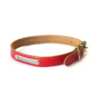 RECORD COLLARE CON TARGHETTA ROSSO 4X65
