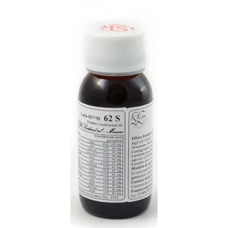 62 S Ginkgo Biloba Compositum Labor Villa Stoddard 60ml