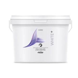 RECORD CHARME BALSAMO 3 L WHITE+