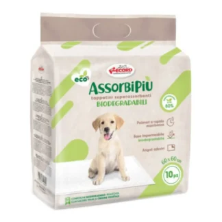 RECORD ASSORBIPIU 10 TAPPETINI ASSORBENT