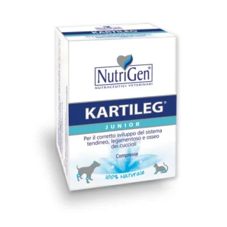 Kartileg Junior - 60X1GR