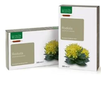 Natura Service Rodiola Integratore Alimentare 20 Ampolle Bevibili 15ml
