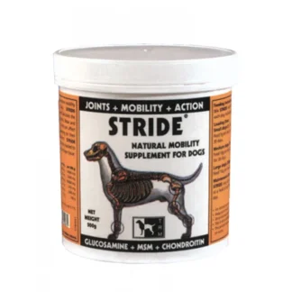 Stride Powder - 150GR