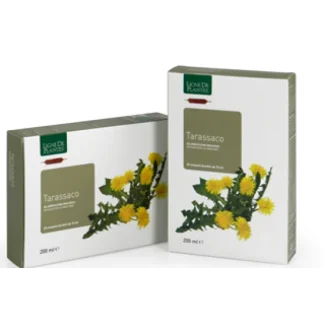 Natura Service Ligne De Plantes Tarassaco Integratore Alimentare 20 Ampolle Da 15ml