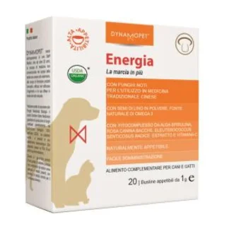 Energia - 20X1GR