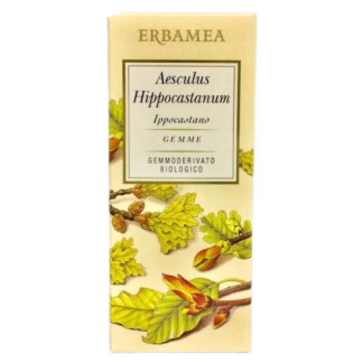 Aesculus Hippocastanum Erbamea 50ml