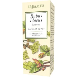 Rubus Idaeus Gemmoderivato Biologico Erbamea 50ml