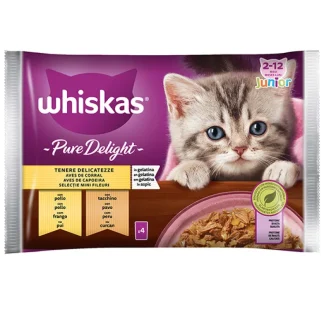 Pure Delight Tenere delicatezze Junior - 85GR