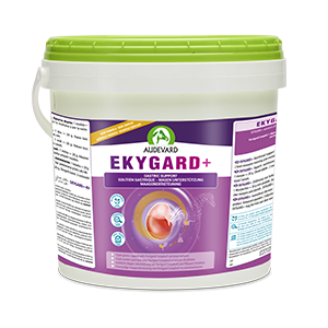 Ekygard + – Gastric protection – Acidity – Horse – 6 kg – AUDEVARD