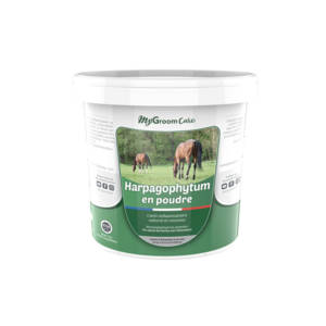 Harpagophytum Powder – Anti-inflammatory – Horse – 1 Kg – MyGroomCare – CDN HORSE