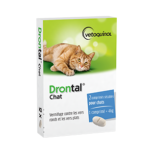Drontal Cat – Broad spectrum dewormer – 2 tablets – VETOQUINOL