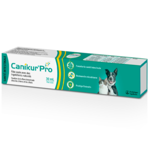 Canikur Pro – Intestinal flora – 30 ml syringe – Cat and dog – BOEHRINGER INGELHEIM