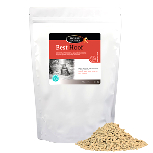 Best Hoof – D-Biotin – Hoof – Horse – 2 Kg – Horse Master