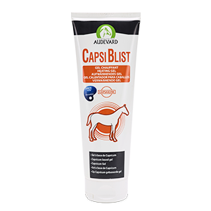 Capsiblist – Heating gel – Tendons and joints – 250 ml – AUDEVARD