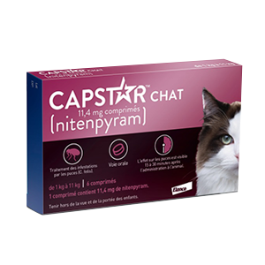 Capstar Cat – 11,4 mg – Flea Infestation – ELANCO