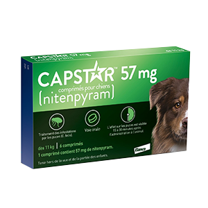 Capstar Dog – 57 mg – Flea Infestation – ELANCO