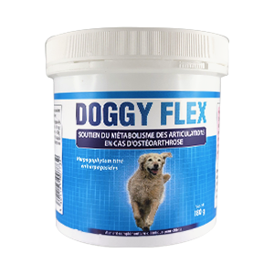 Doggy Flex – Joints – Dog – AUDEVARD