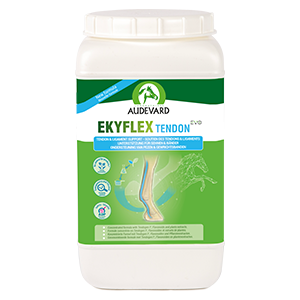 Ekyflex Tendon Evo – Tendon and ligament support – 1,8 kg – AUDEVARD
