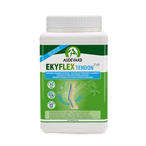Ekyflex Tendon Evo – Tendon and ligament support – 900 g – AUDEVARD