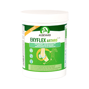 Ekyflex Arthro Evo – Joint support and osteoarthritis – Horse – 450 g – AUDEVARD