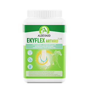 Ekyflex Arthro Evo – Joint support and osteoarthritis – Horse – 900 g – AUDEVARD