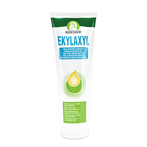 Ekylaxyl – Arnica-based gel – Horse – 250 ml – AUDEVARD