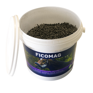 Ficomag – Warts and Papillomas – Horse – 1,3 kg – GREENPEX