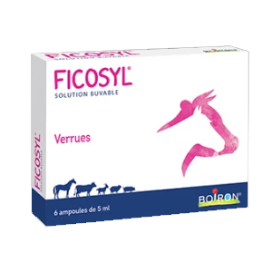 Ficosyl - 6 ampoules of 5 mL - Boiron