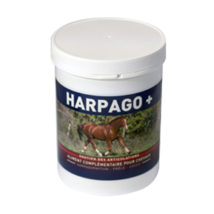 Harpago + | 500 g – Joints and muscles – GREENPEX