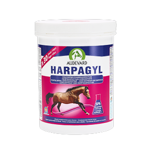 Harpagyl – Harpagophytum – Joint support – Horse – 900 g – AUDEVARD