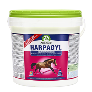Harpagyl – Harpagophytum – Joint support – Horse – 4,5 kg – AUDEVARD