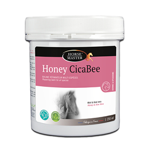 Honey CicaBee Balm – 250 ml – Healing – Horse – GOFERVAL – HORSE MASTER