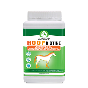 Hoof Biotin – Beauty of the hoof – 1 Kg – AUDEVARD