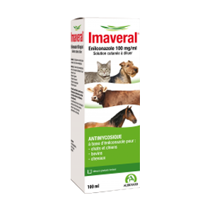 Imaveral – Dermatophytoses – Antimycotic skin solution – 100 ml – AUDEVARD