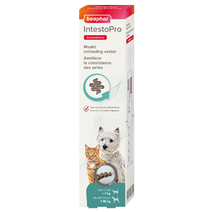 IntestoPro – Stool paste – Small dogs and cats – 20 mL – BEAPHAR