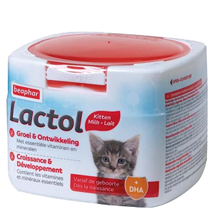 Lactol – Maternized milk for kitten – 250 g – BEAPHAR