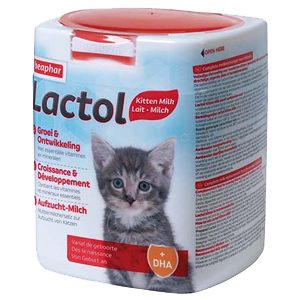 Lactol – Maternized milk for kitten – 500 g – BEAPHAR