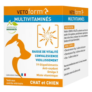 Multivitamins – Vitality, convalescence and aging – Cat and Dog – Powder – VETOFORM