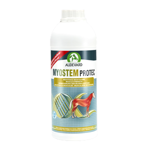 Myostem Protec – Muscular resistance – 900 ml – Horse – AUDEVARD